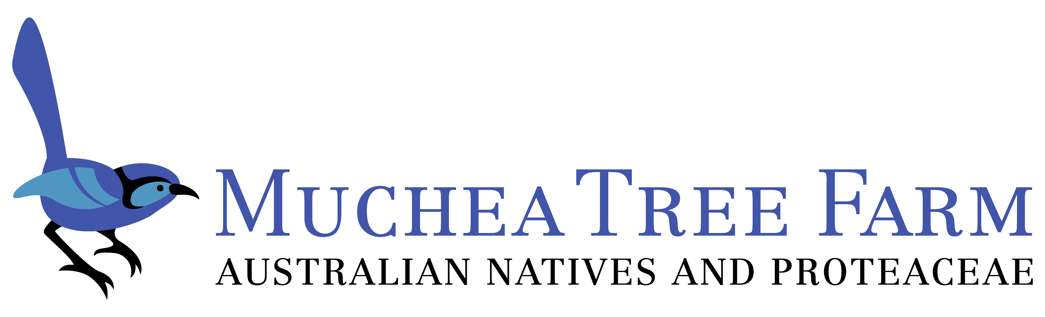 2019_T3_W2/Quiz_night_logos/muchea-tree-farm-logo_slogan.png