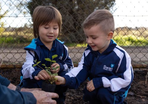 Kindy-TreePlanting-14